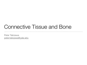 Connective Tissue and Bone Peter Takizawa  peter.takizawa@yale.edu  What we will talk about