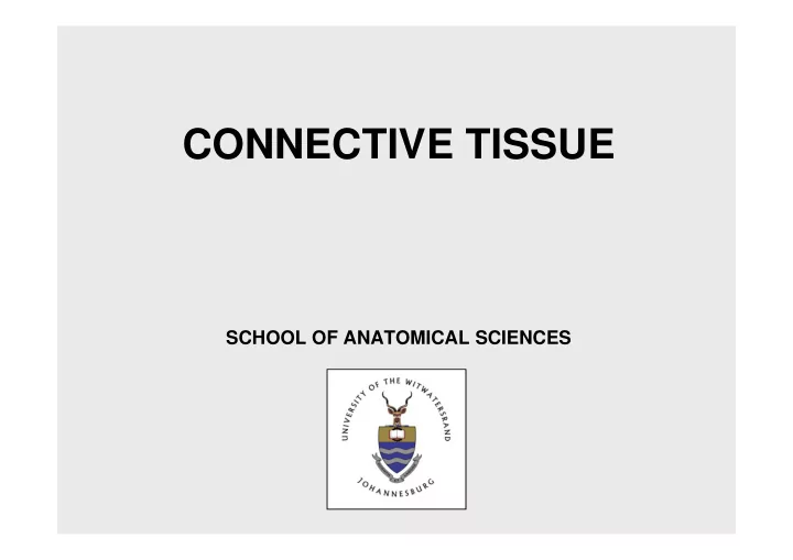 connective tissue
