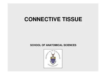 CONNECTIVE TISSUE  SCHOOL OF ANATOMICAL SCIENCES Connective consists of cells , fibres and ground