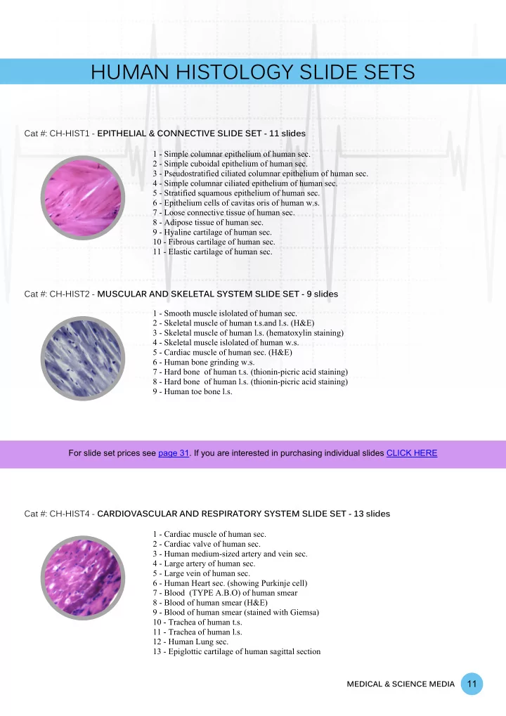 human histology slide sets
