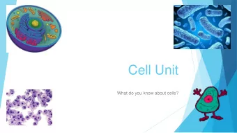 Cell Unit  What do you know about cells?  Vocabulary #1-7 (textbook page 51) 1. Cell - the basic