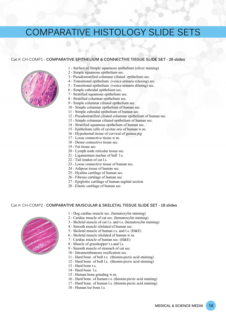 comparative histology slide sets