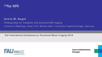 23 Na MRI Arm in M. Nagel Professorship for metabolic and functional MR imaging  Institute of