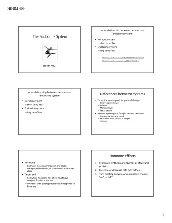 The Endocrine System  Nervous system  short term/ fast  Endocrine system  long