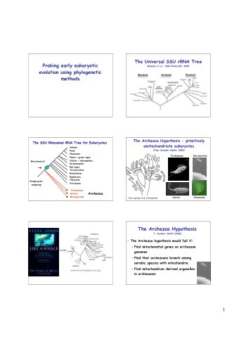 1  Mitochondrial HSP 70 is encoded by the  host nucleus but is of endosymbiotic origin  Targeting