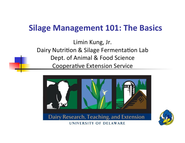 silage management 101 the basics