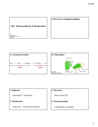 I. Overview of photosynthesis  L06:  Photosynthesis &amp; Respiration  BIOL 153/L  Black Hills