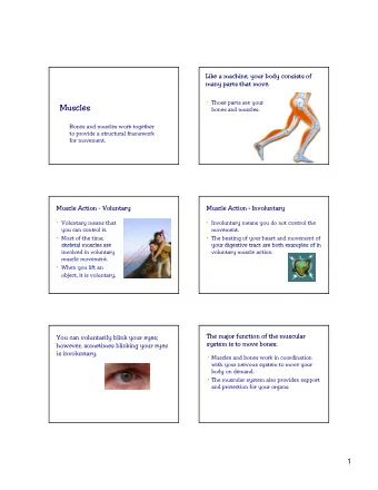 Muscles  bones and muscles.  Bones and muscles work together  to provide a structural framework