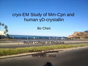 cryo-EM Study of Mm-Cpn and  human D-crystallin  Bo Chen  Biochemistry and Molecular Biology