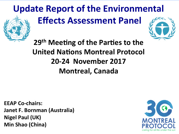 update report of the environmental effects assessment