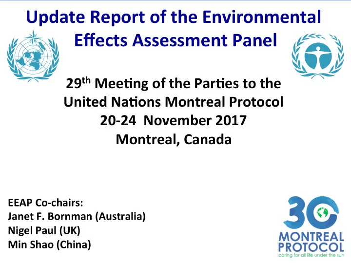 update report of the environmental effects assessment