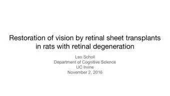Restoration of vision by retinal sheet transplants  in rats with retinal degeneration  Leo Scholl