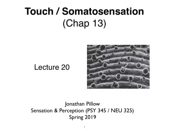 Touch / Somatosensation  (Chap 13)  Lecture 20  Jonathan Pillow Sensation &amp; Perception (PSY 345