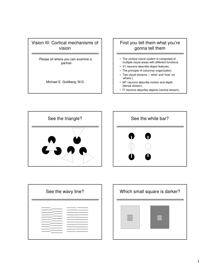 vision iii cortical mechanisms of first you tell them