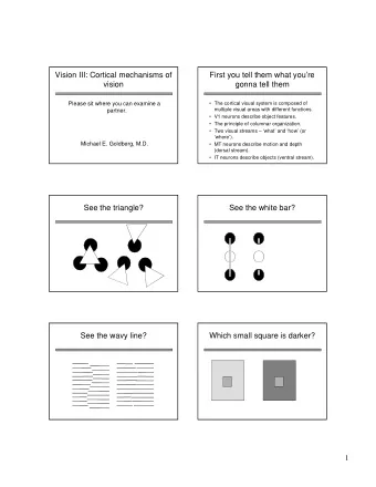 Vision III: Cortical mechanisms of  First you tell them what youre  vision  gonna tell them