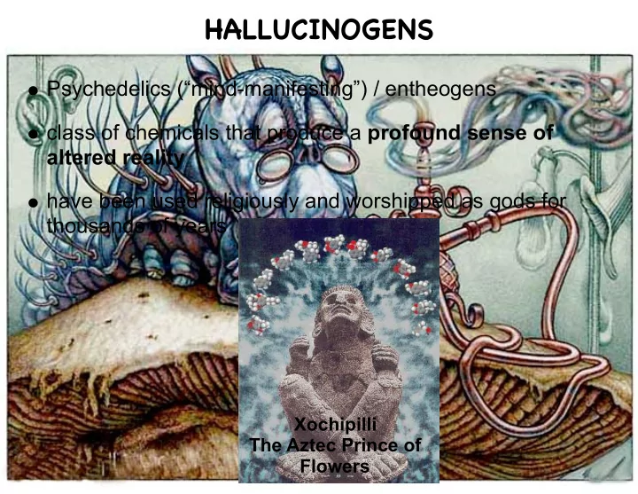 hallucinogens
