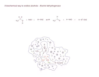 A biochemical way to oxidize alcohols: Alcohol dehydrogenase  H  H  H + ENZ  :B  ENZ  H  NAD +