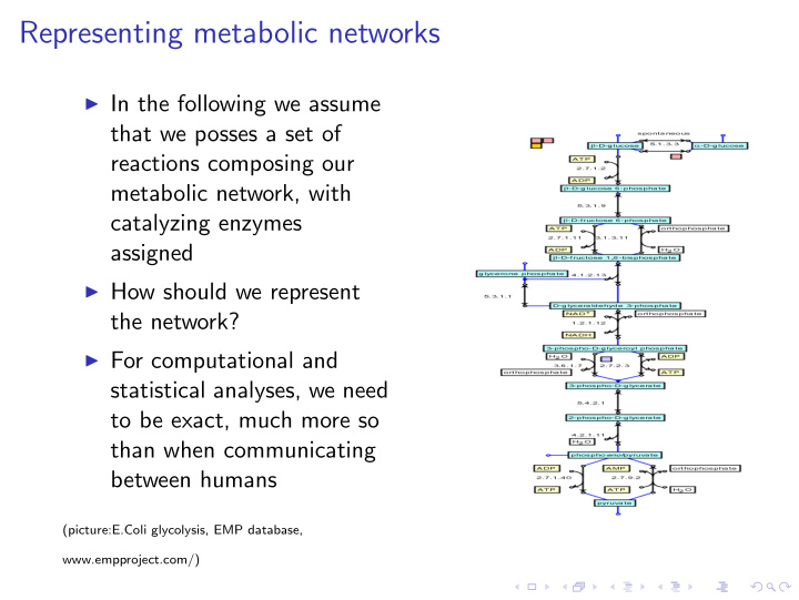 representing metabolic networks