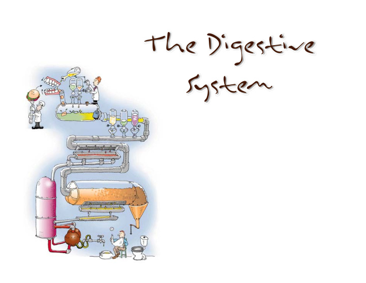 the digestive system overview of the digestive system