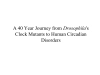 a 40 year journey from drosophila s clock mutants to