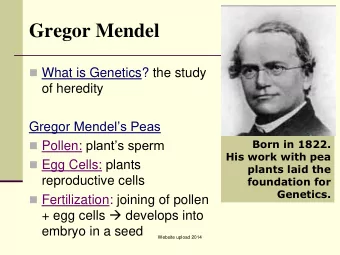 Gregor Mendel  What is Genetics? the study  of heredity Gregor Mendels Peas  Born in 1822.