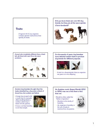 Traits  A typical cell of any organism  contains genetic instructions that  specify its traits.  A