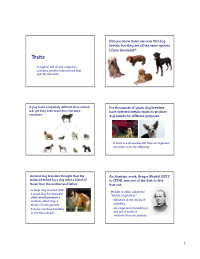 traits