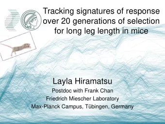 Tracking signatures of response  over 20 generations of selection  for long leg length in mice