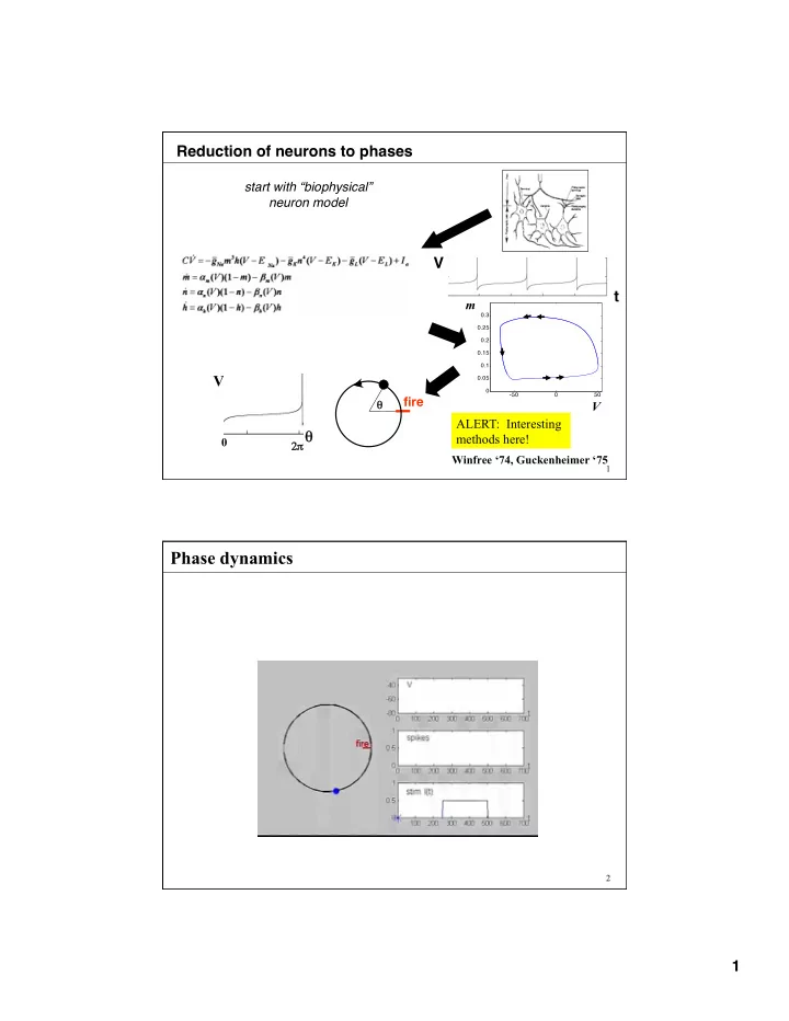 phase dynamics