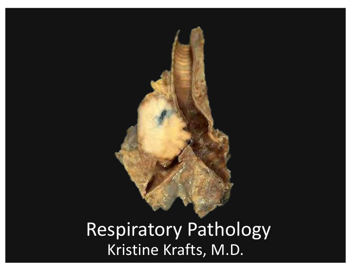 respiratory pathology