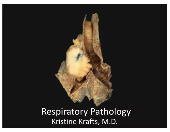 Respiratory Pathology  Kristine Krafts, M.D.  Normal lung: alveolar spaces  Respiratory Pathology