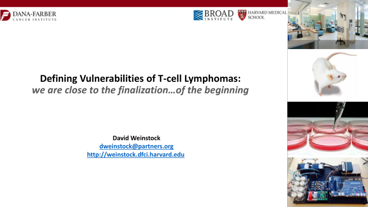 defining vulnerabilities of t cell lymphomas we are close