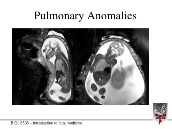 Pulmonary Anomalies  BIOL 6505  Introduction to fetal medicine  Mammalian Airway