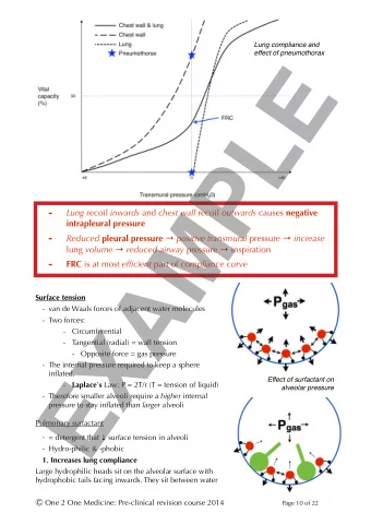 EXAMPLE Lung recoil inwards and chest wall recoil outwards causes negative  -  intrapleural