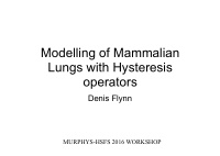 modelling of mammalian lungs with hysteresis operators