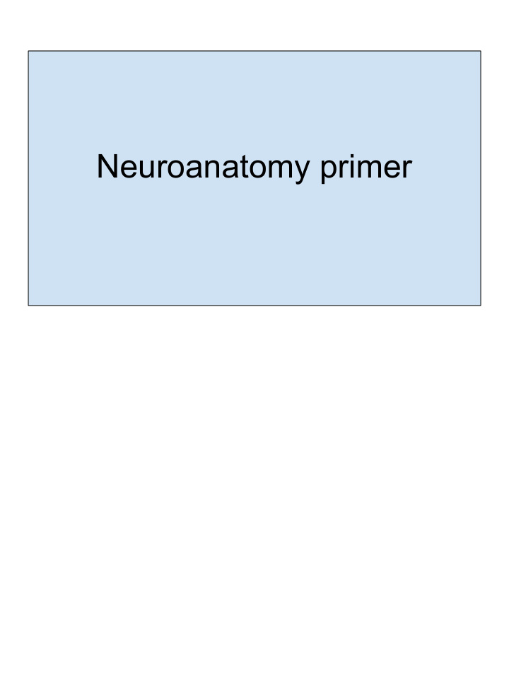 neuroanatomy primer take home goals