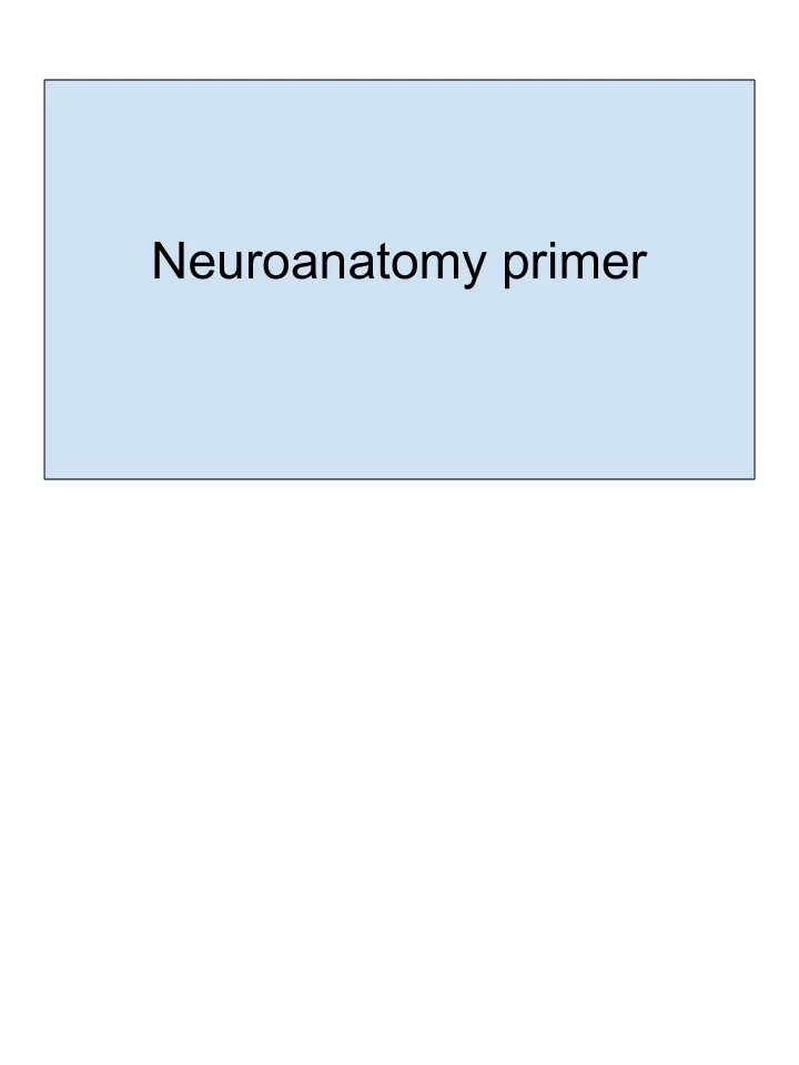 neuroanatomy primer take home goals