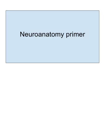 Neuroanatomy primer  Take home goals  If you want to know this properly, go to: