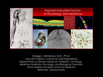 Hypoxia-Inducible Factors  in Physiology and Medicine  Gregg L. Semenza, M.D., Ph.D.  Vascular