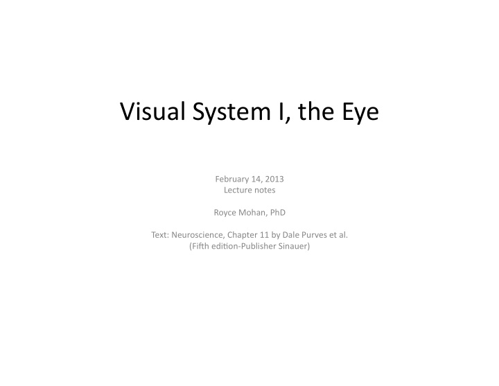 visual system i the eye