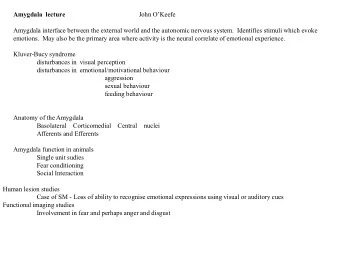 Amygdala  lecture  John OKeefe  Amygdala interface between the external world and the autonomic