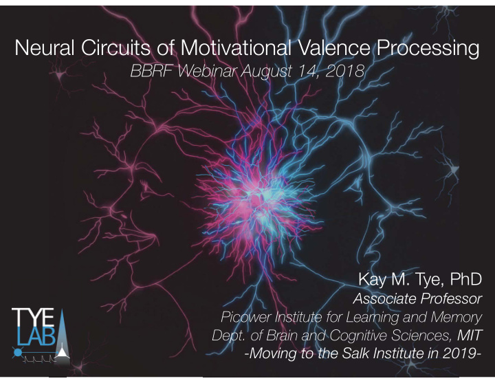 neural circuits of motivational valence processing