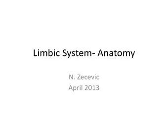 Limbic System- Anatomy  N. Zecevic  April 2013  Figure 29.3  The limbic lobe  Hippocampus  Fornix