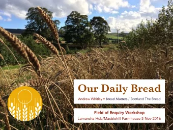 Our Daily Bread Andrew Whitley  Bread Matters / Scotland The Bread  Andrew Whitley  Bread