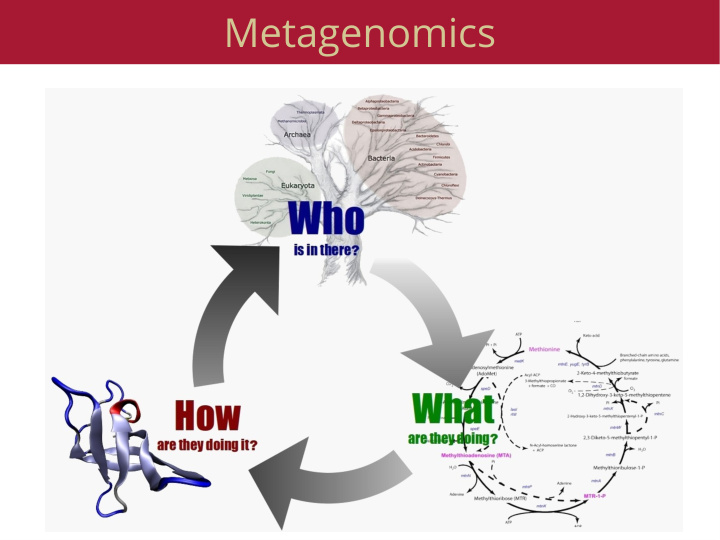 metagenomics
