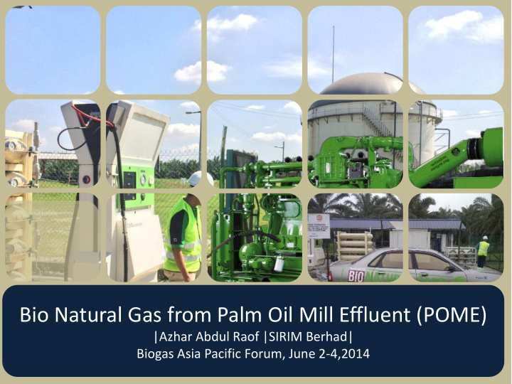bio natural gas from palm oil mill effluent pome