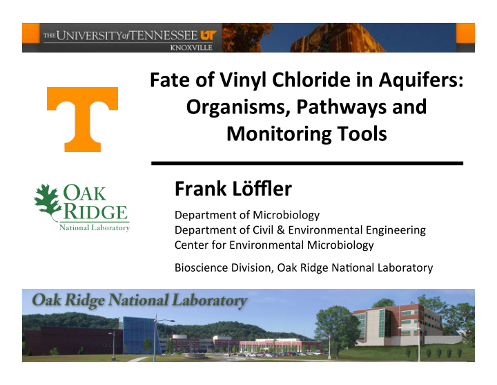 fate of vinyl chloride in aquifers organisms pathways and