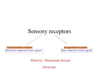 Sensory receptors  Unencapsulated receptors  Encapsulated receptors  Have connective tissue capsule