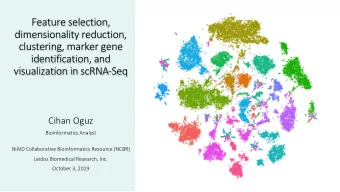 Feature selection,  dimensionality reduction,  clustering, marker gene  identification, and