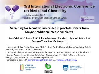 Searching for bioactive molecules in prostate cancer from  Mayan traditional medicinal plants. Juan